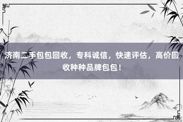 济南二手包包回收，专科诚信，快速评估，高价回收种种品牌包包！