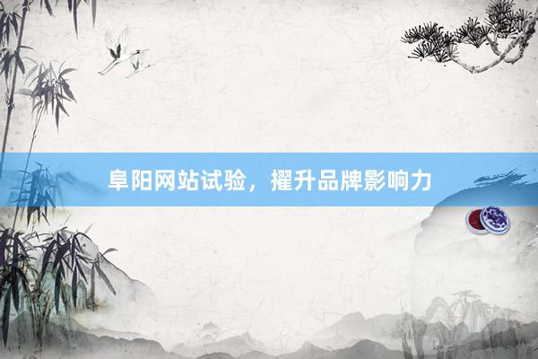 阜阳网站试验，擢升品牌影响力