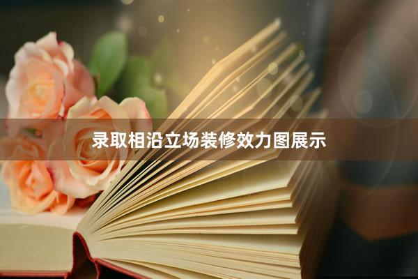 录取相沿立场装修效力图展示